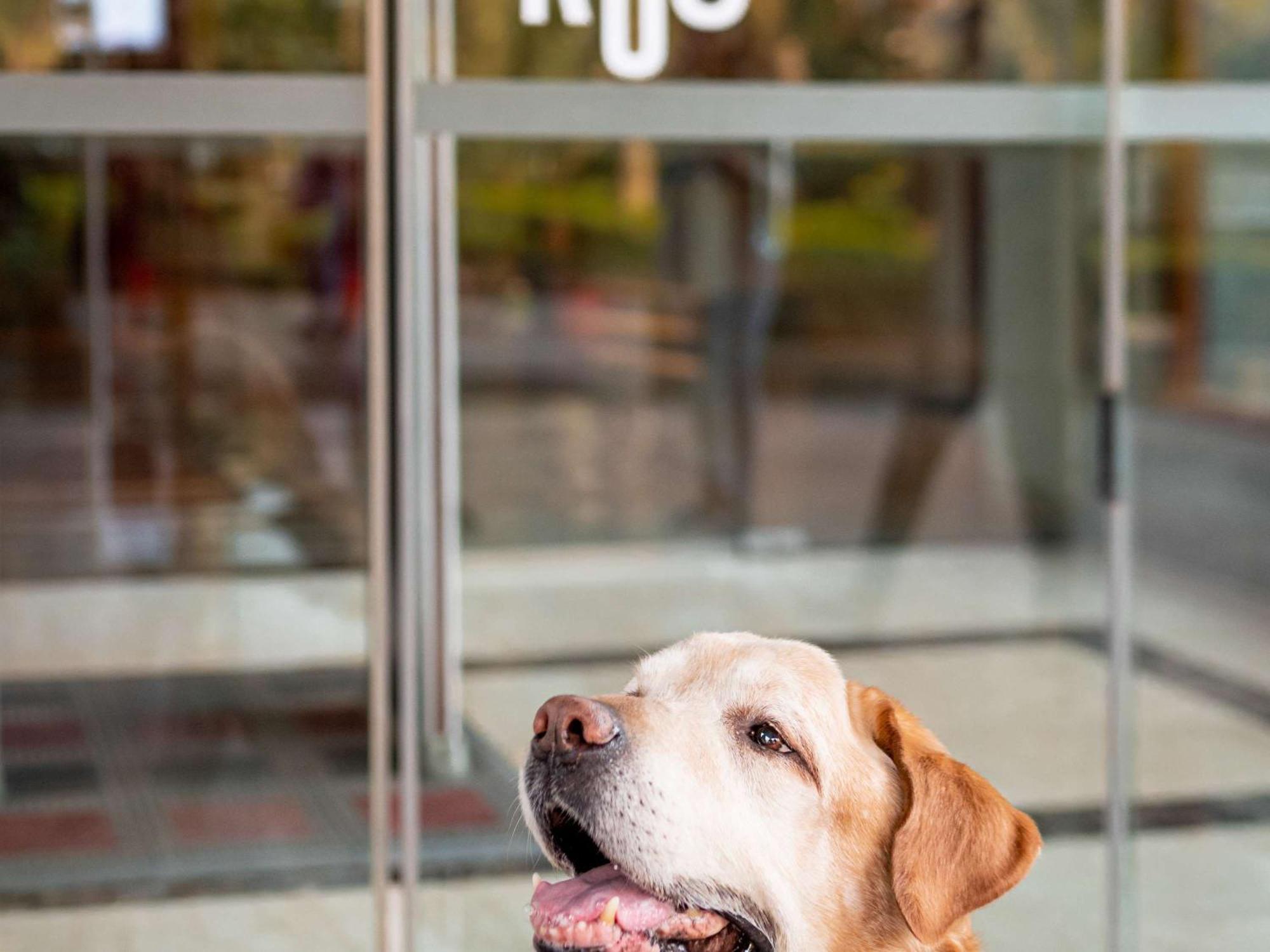 Ibis Madrid Calle Alcala Экстерьер фото